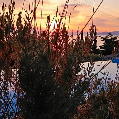 Feriehus Blue Elefant By Interhome *